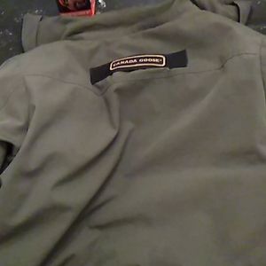 Canada goose